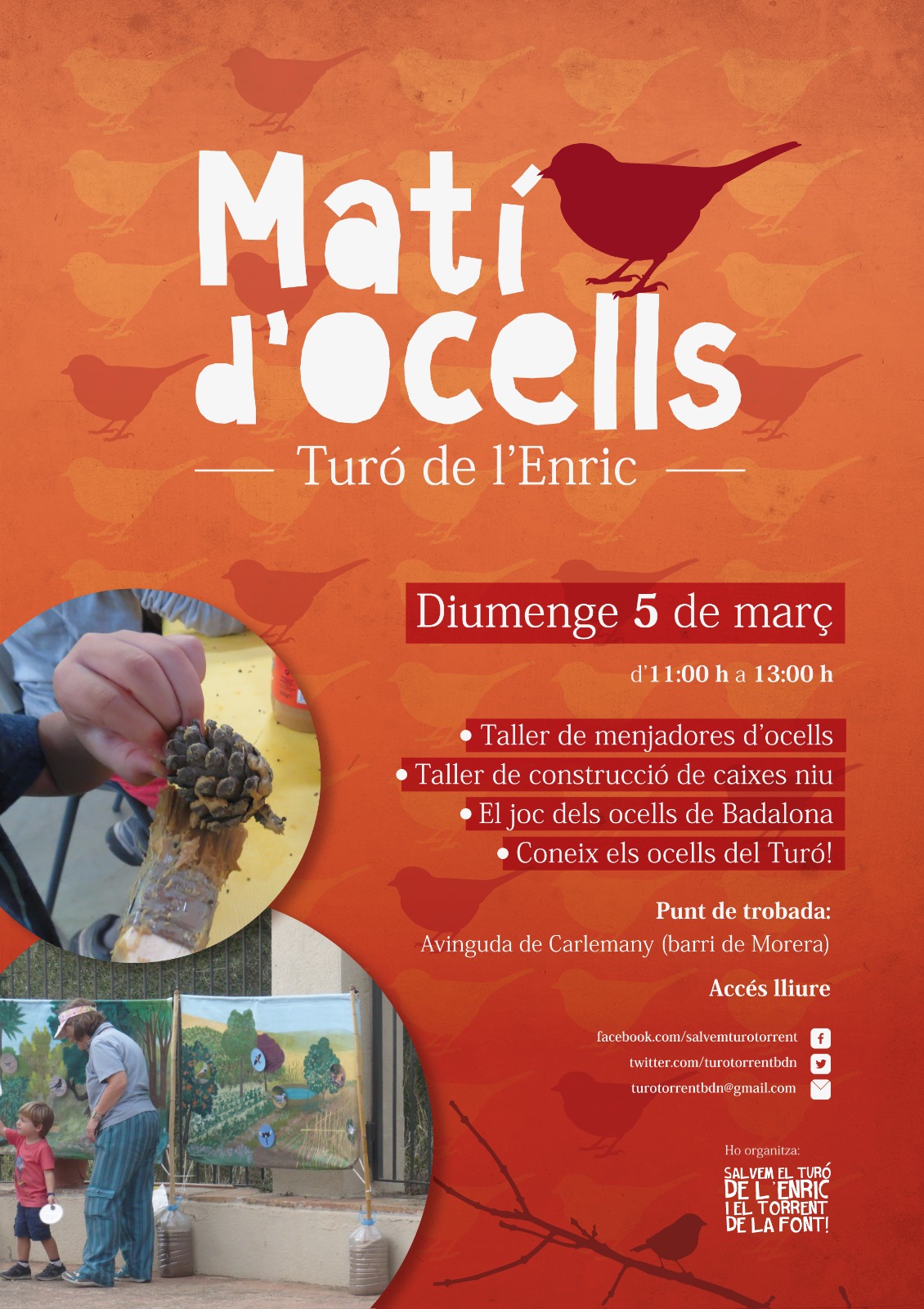 MATÍ D’OCELLS AL TURÓ DE L’ENRIC