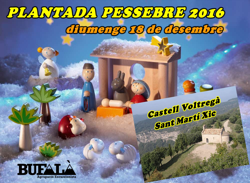 PLANTADA PESSEBRE 2016