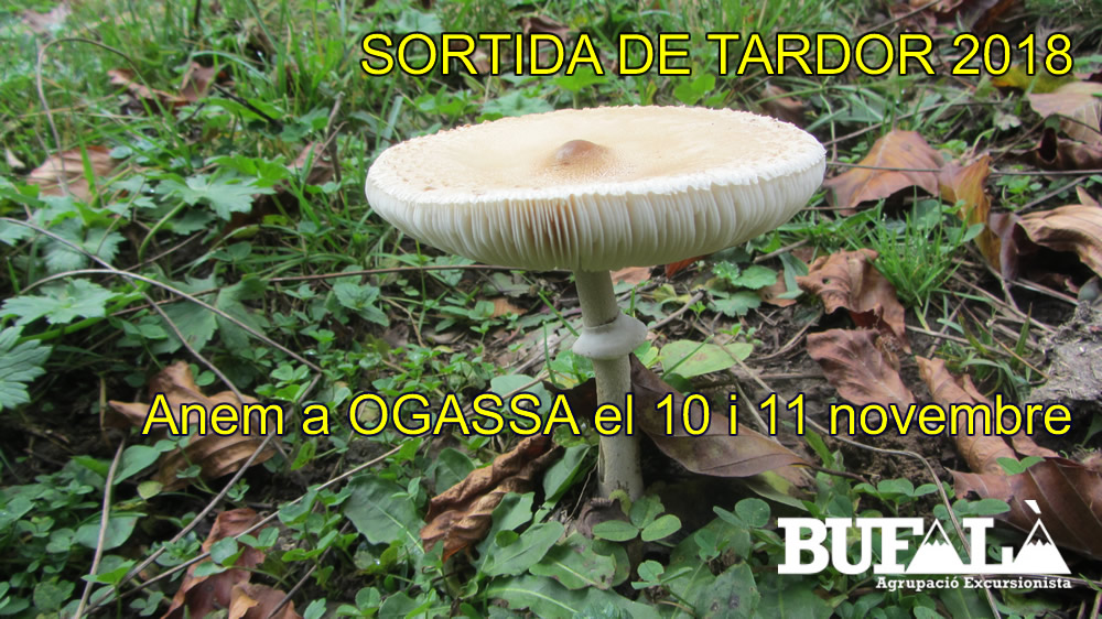 SORTIDA de TARDOR 2018 a OGASSA – Ripollès