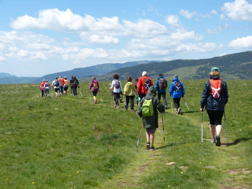 Vols ser tècnic de marxa nòrdica? Vols ser tècnic de marxa nòrdica?