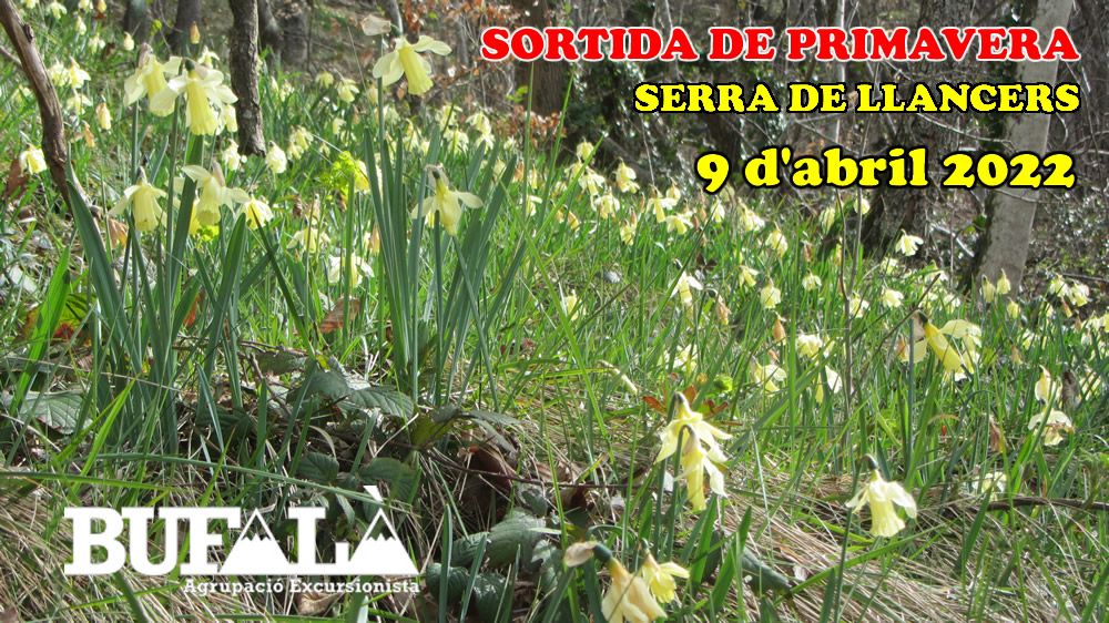 SORTIDA de PRIMAVERA 2022