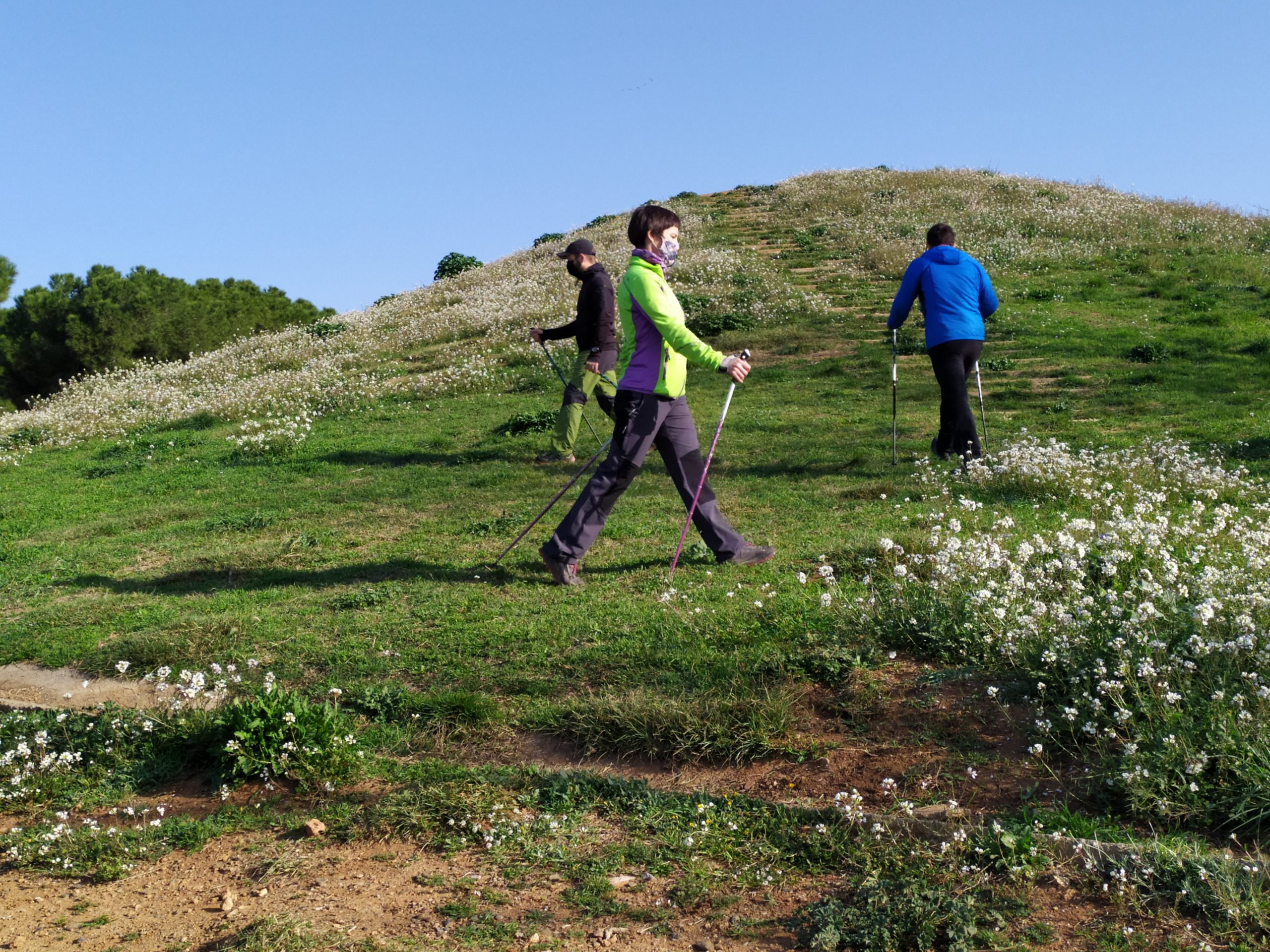 Tècnic Esportiu de Nivell 1 de Marxa Nòrdica – Nivell Formació Reglada