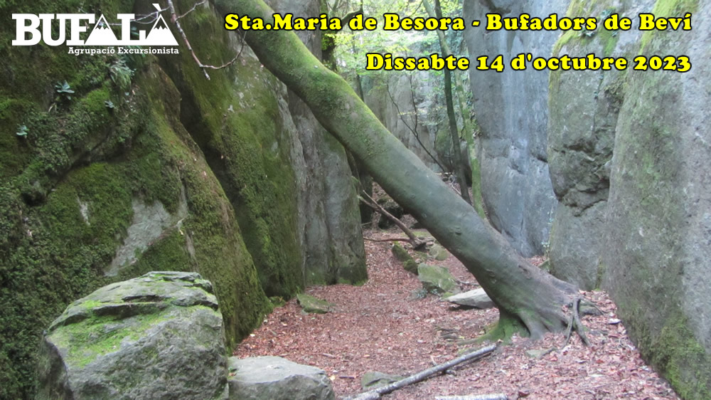Sta.MARIA de BESORA – BUFADORS de BEVÍ – Sta.MARIA de BESORA